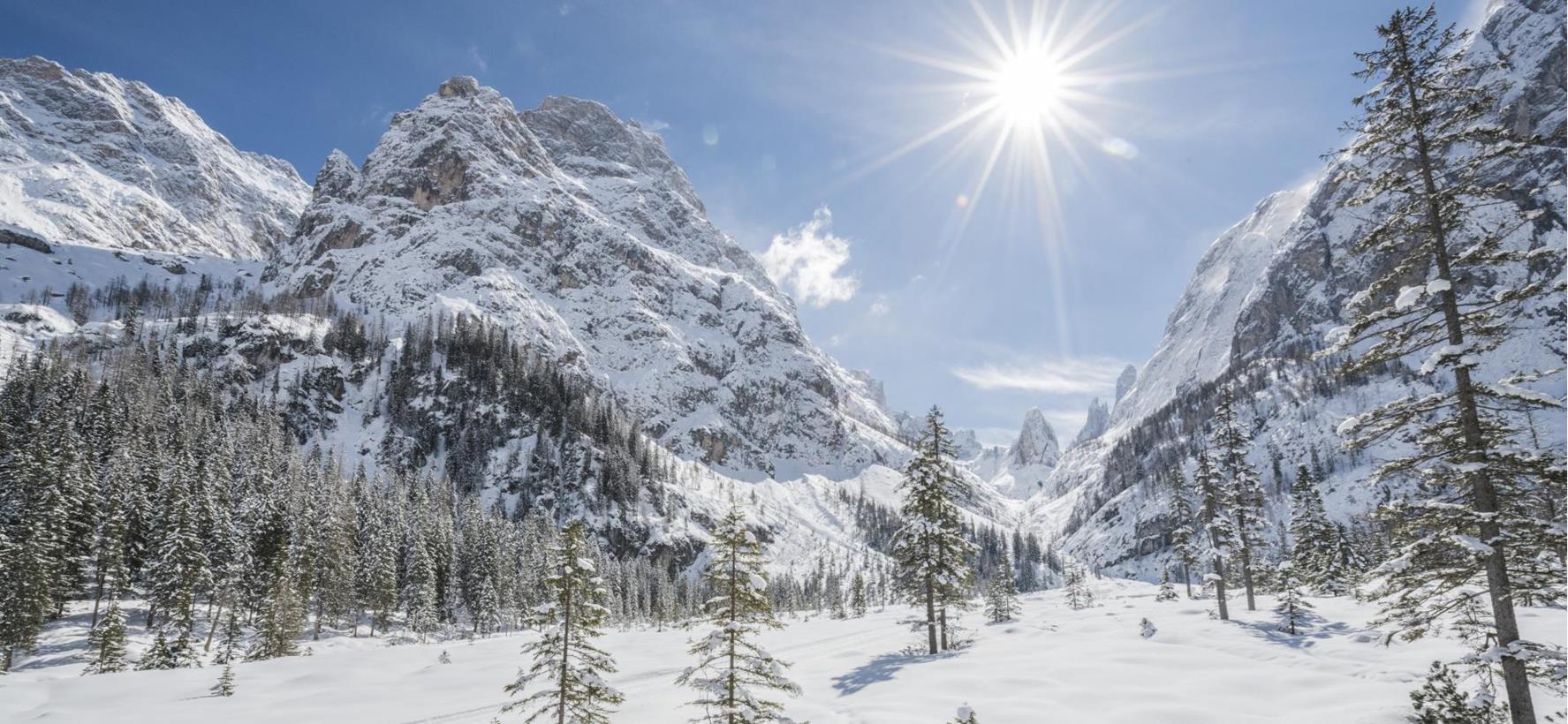 Verschneite Winterlandschaft in den Dolomiten mit schneebedeckten Bergen und Nadelbäumen.