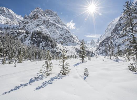 Snow-covered winter landscape in the Dolomites with snow-capped mountains and conifer trees.
