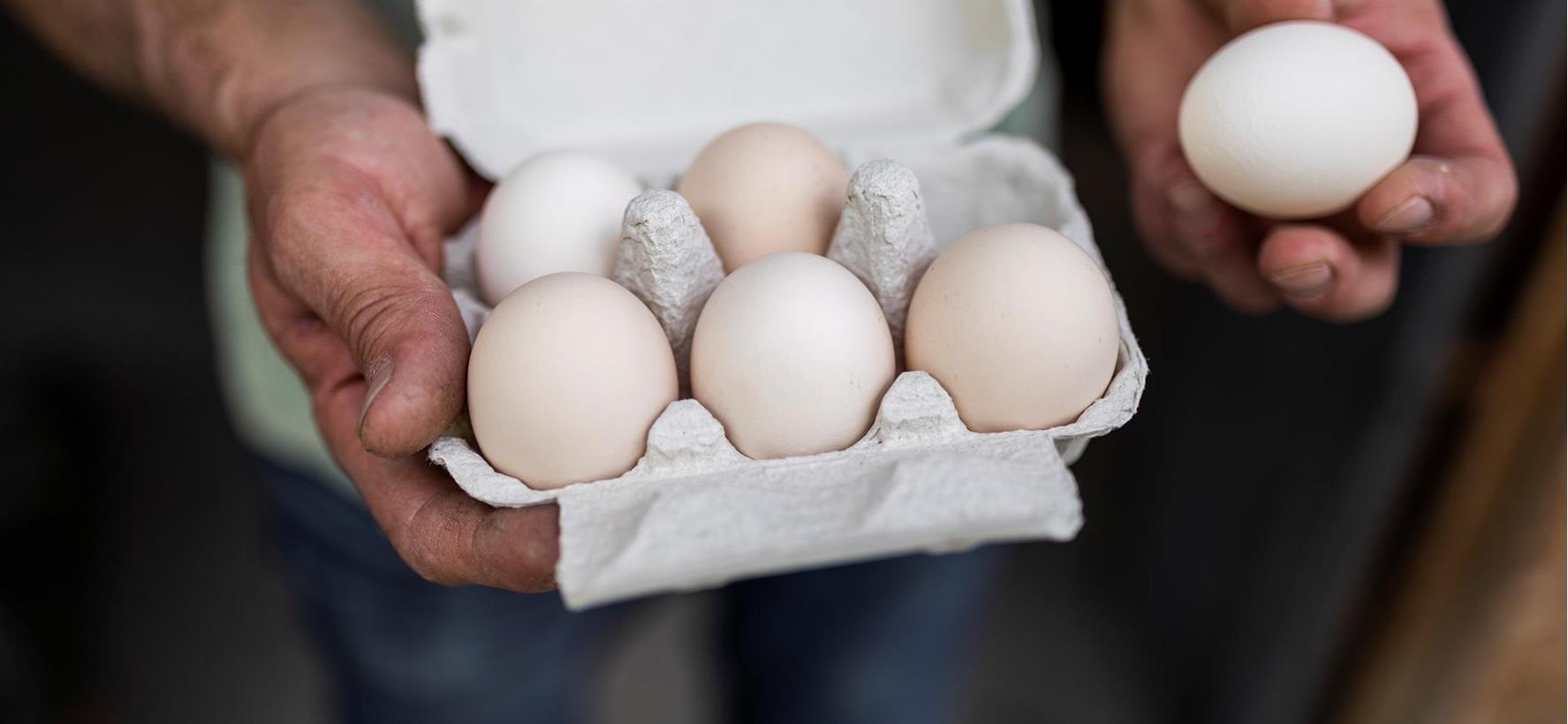 idm-block-1-arminhuber-hq-8346