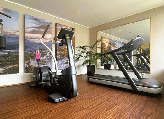 Fitnessraum mit Geräten und großen Panorama-Wandbildern.