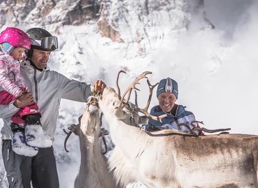 Meet a reindeer