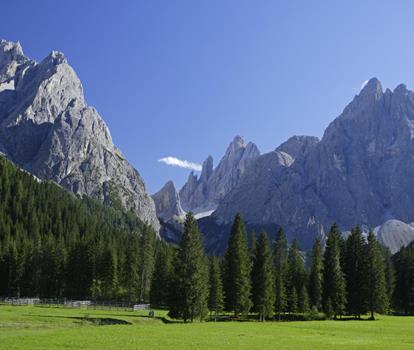 Dolomiti di Sesto con verdi prati alpini in estate