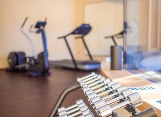 Fitnessraum im Hotel Villa Stefania mit Geräten im Hintergrund und Hanteln im Vordergrund.