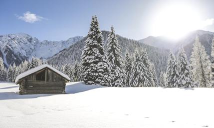 Un prato alpino innevato con una piccola baita, un bosco e montagne sullo sfondo.