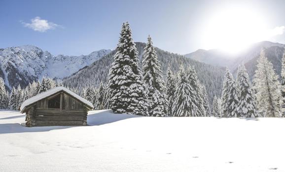 Un prato alpino innevato con una piccola baita, un bosco e montagne sullo sfondo.