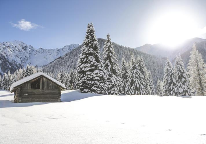 Eine schneebedeckte Almwiese mit einer kleinen Hütte, einem Wald und Bergen im Hintergrund