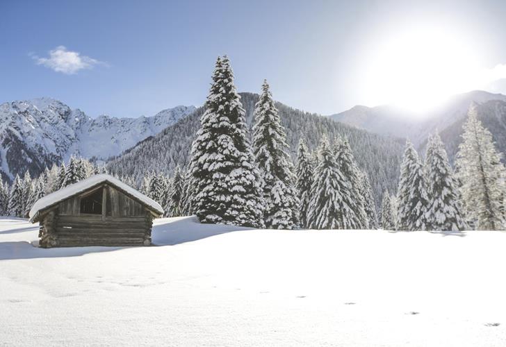A snow-covered alpine meadow with a small hut, a forest and mountains in the background.
