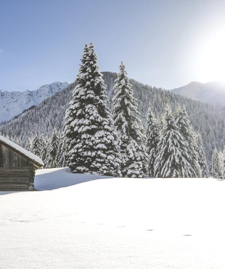 Un prato alpino innevato con una piccola baita, un bosco e montagne sullo sfondo.