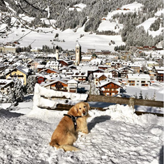 Charly plays in the snow of Innichen