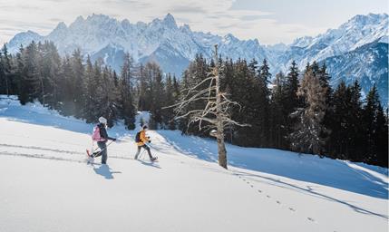 Snowshoe hike