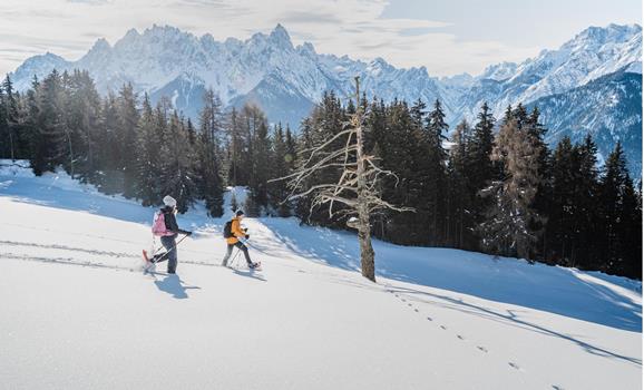 Snowshoe hike