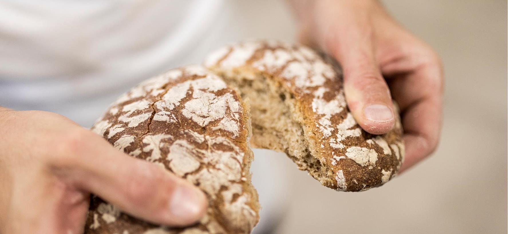 Hands breaking apart a loaf of bread with a flour-dusted crust.