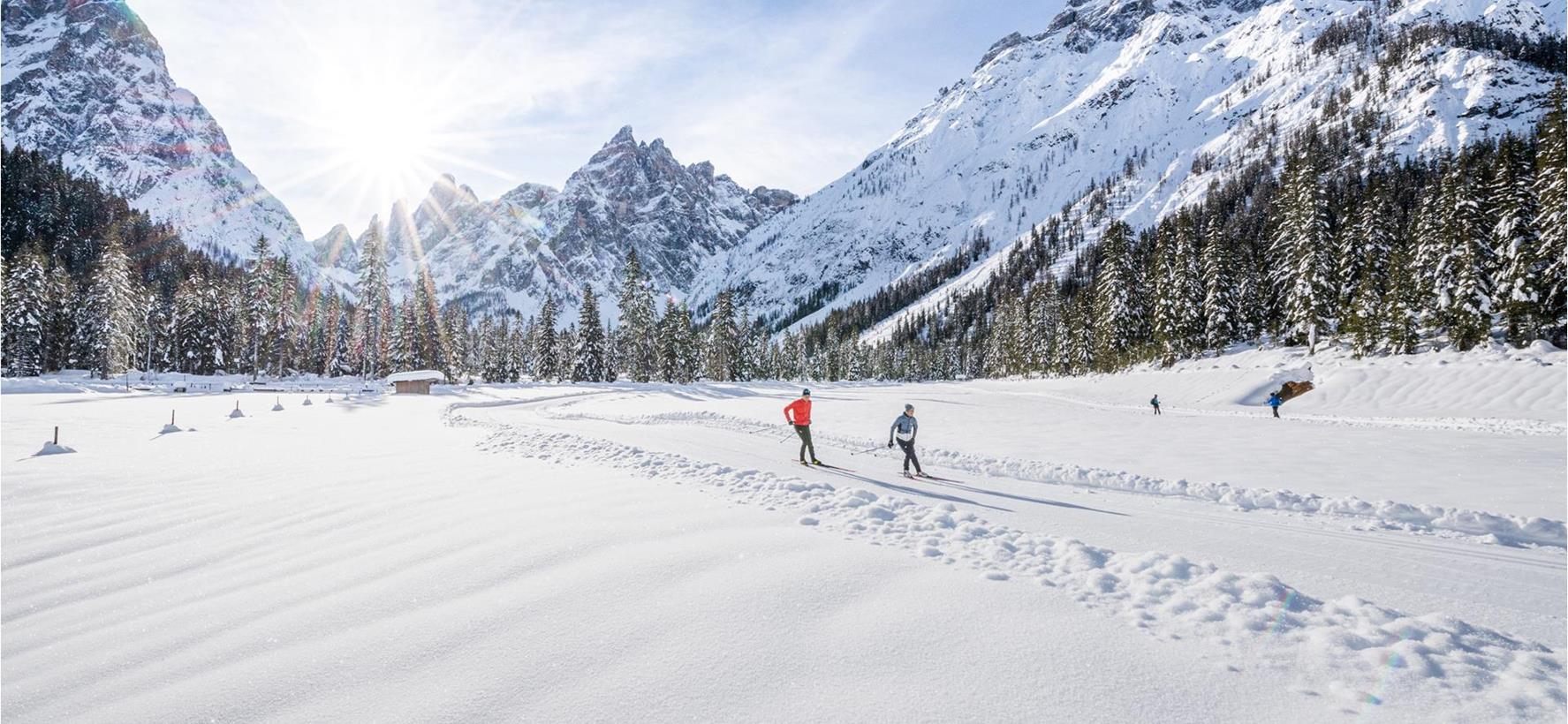 Mehrere Langläufer auf der Loipe inmitten der schneebedeckten Winterlandschaft mit Wald und Gebirge im Hintergrund.