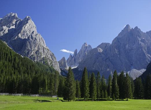Green meadow in the Fischleintal valley of the Dolomites with dense forests and rugged mountain peaks under a blue sky.
