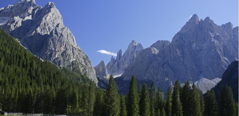 Prato verde nella Val Fiscalina delle Dolomiti con fitti boschi e imponenti cime rocciose sotto il cielo azzurro.
