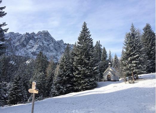 Small forest chapel in a snowy landscape, surrounded by trees with mountains in the background.