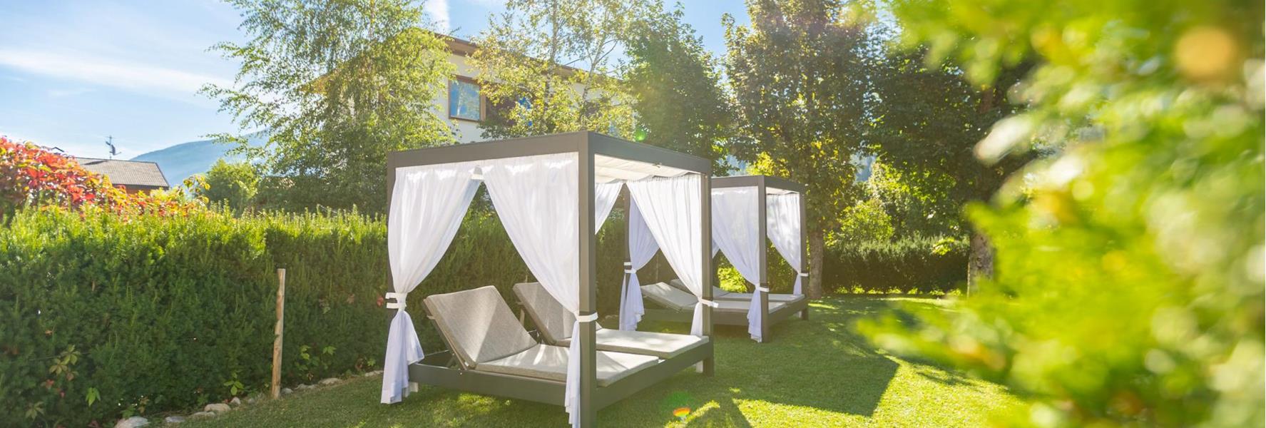 Garden of Villa Stefania with large sun loungers surrounded by trees.