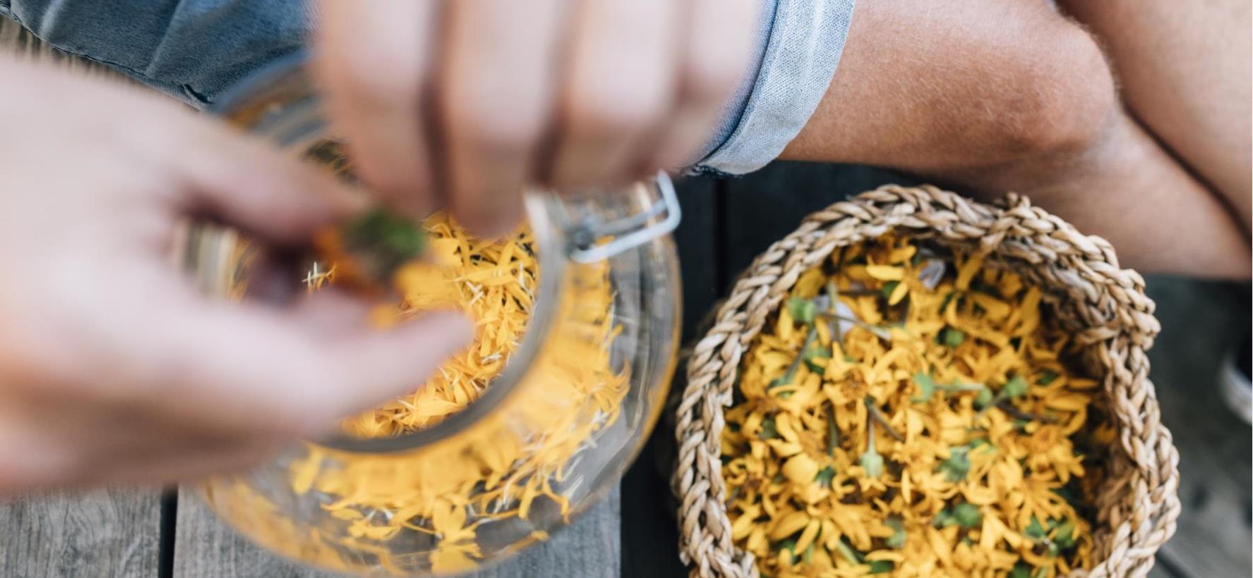 Close-up of herbs and flowers in a bowl.