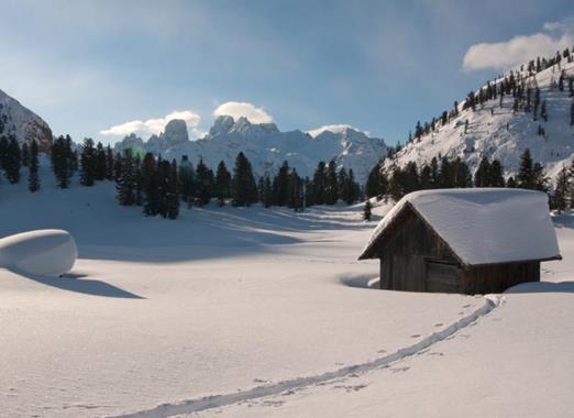 Snow-covered Plätzwiese with a wooden hut, forests and mountains in the background.