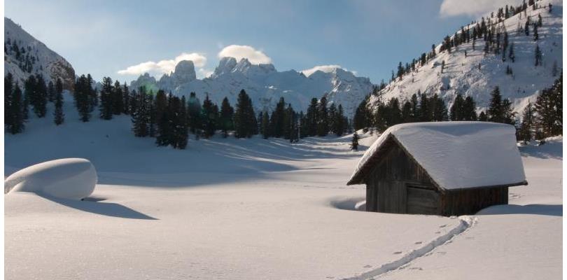 Snow-covered Plätzwiese with a wooden hut, forests and mountains in the background.