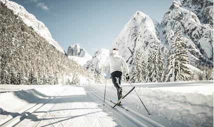 A cross-country skier