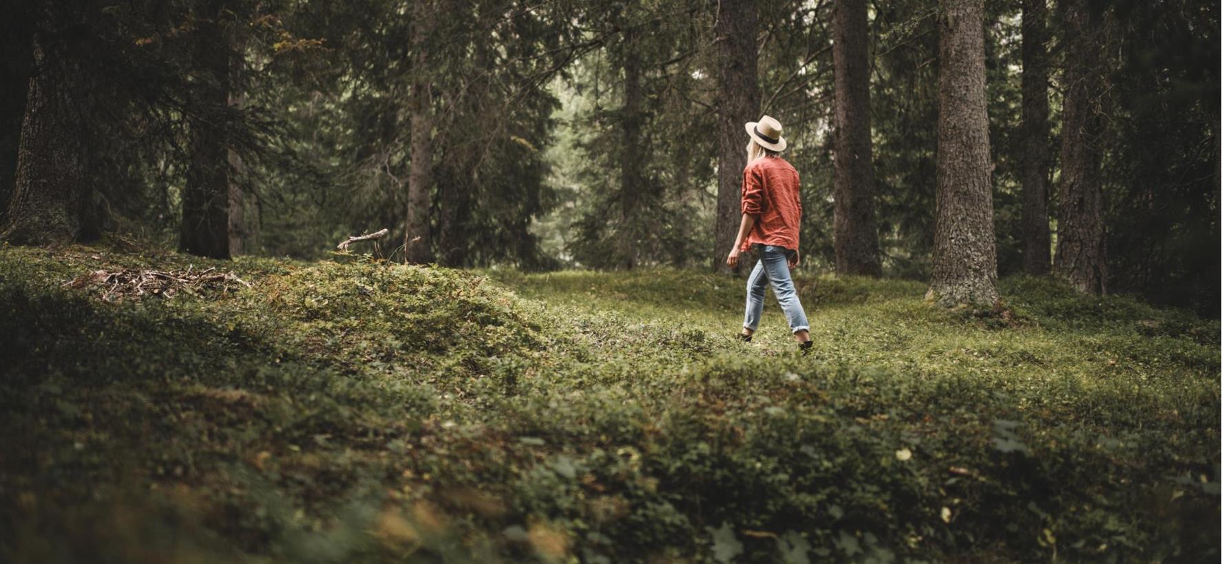 Im Wald