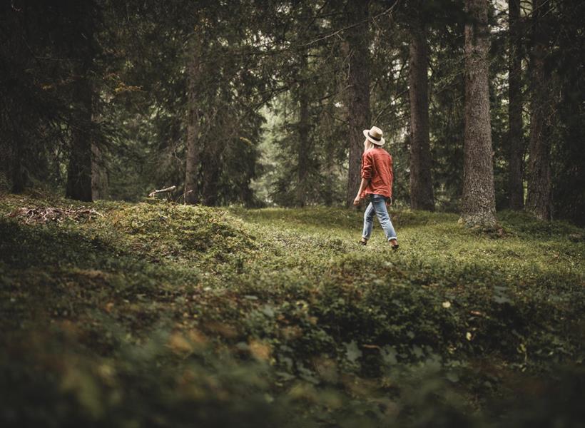 A woman wearing a red shirt and a hat walks through the forest.