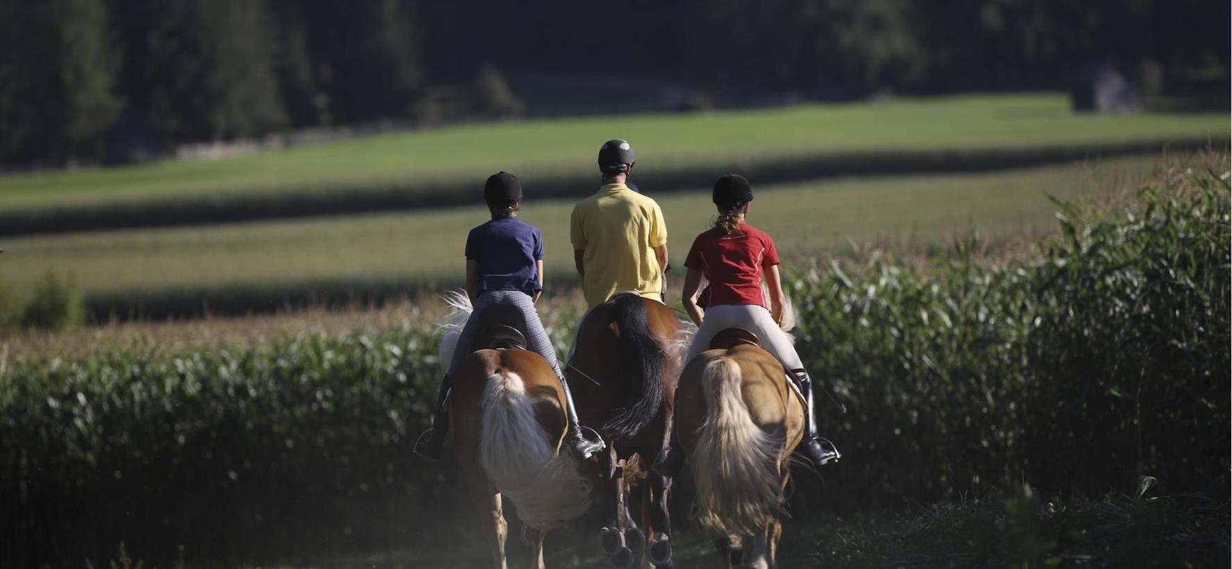 Escursione a cavallo attraverso il paesaggio montano delle Dolomiti