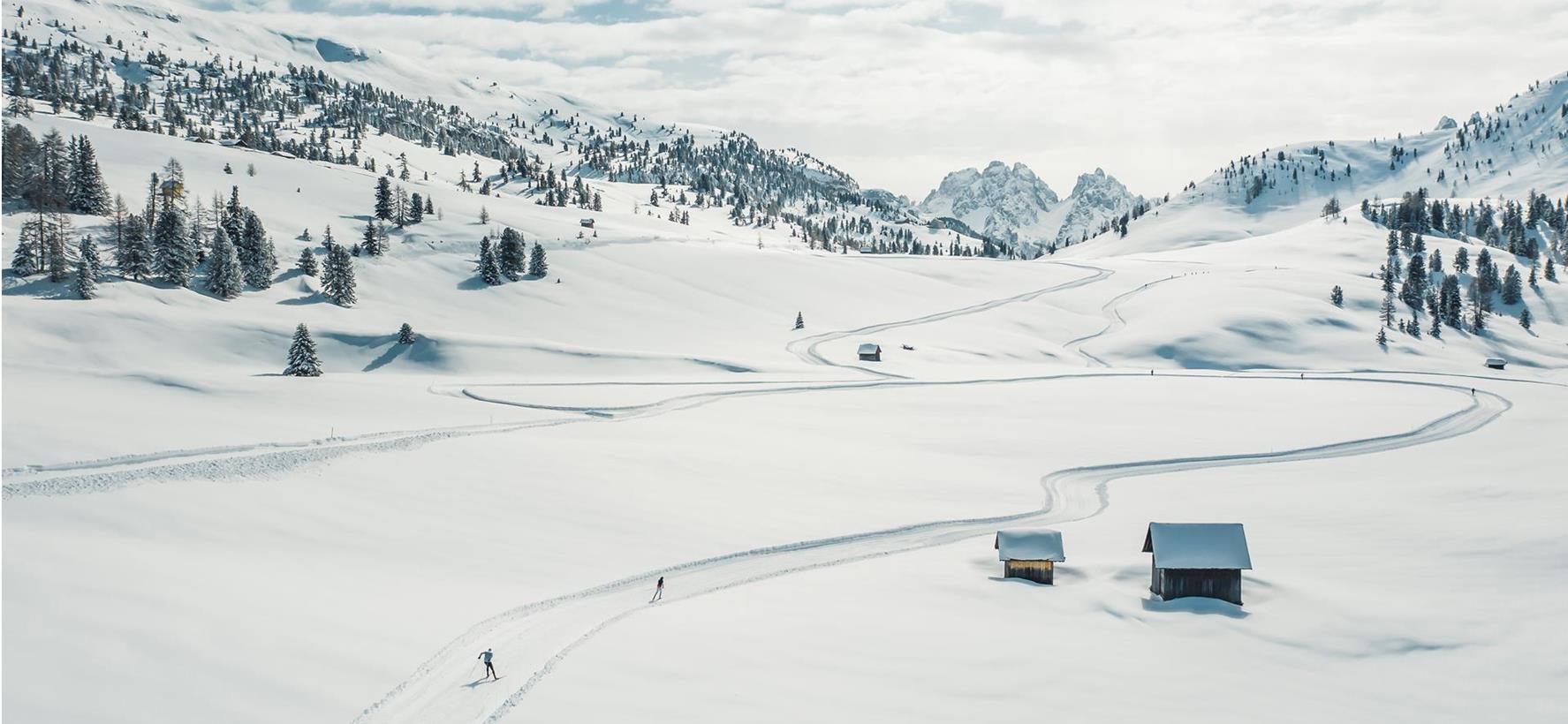 Plätzwiese schneebedeckt mit Loipen, Bäumen und Bergen im Hintergrund.