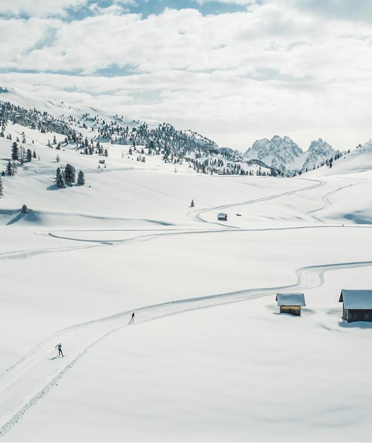 Plätzwiese schneebedeckt mit Loipen, Bäumen und Bergen im Hintergrund.