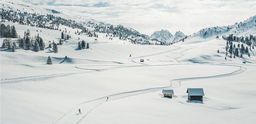 Plätzwiese schneebedeckt mit Loipen, Bäumen und Bergen im Hintergrund.