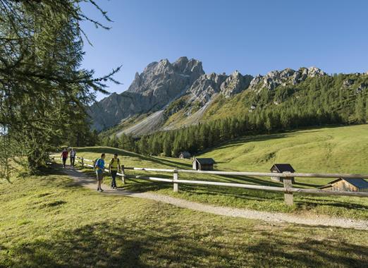 Hikers on an alpine trail surrounded by meadows and forests, with impressive mountains in the background.
