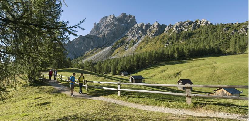 Hikers on an alpine trail surrounded by meadows and forests, with impressive mountains in the background.